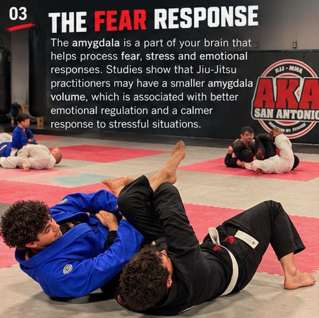 What does BJJ do to your brain? — slide 3 of 6